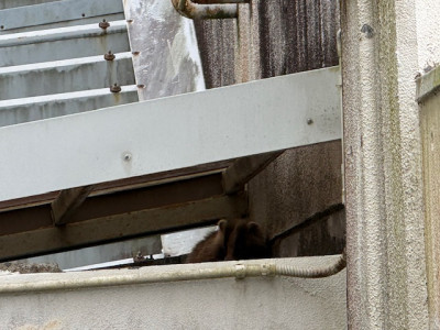 image1